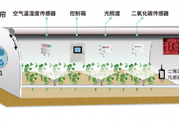 The intelligent greenhouse is not mysterious, but it consists of these parts